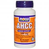 Now Foods AHCC 500 mg 60 vcaps