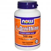 Now Foods L-Ornithine 500 mg 120 caps