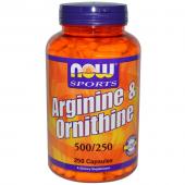 Now Foods Arginine & Ornithine 500 mg 250 caps