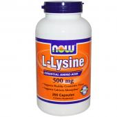 Now Foods L-Lysine 500 mg 250 caps